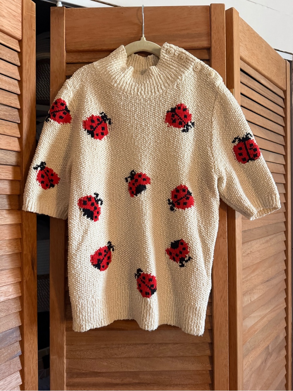 Anthropologie Cream Knit Turtleneck Sweater with Red Ladybug Motif